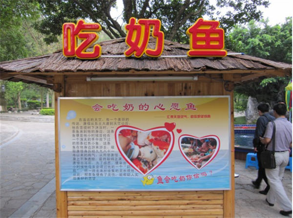 火了很多年,月利润3W+的暴利项目 (图3) 火了很多年,月利润3W+的暴利项目 (图3)